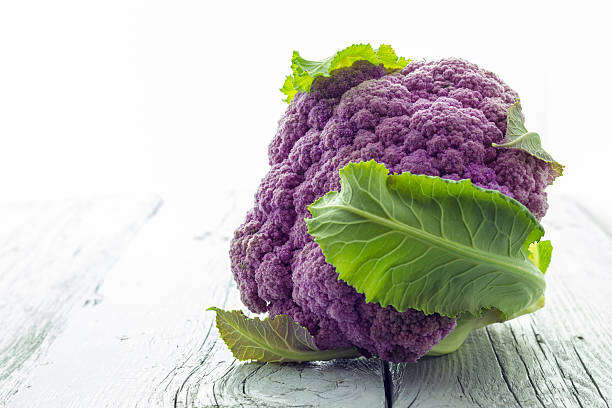 chou violet - purple cauliflower photos et images de collection