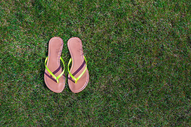 istock Closeup of bright flip flops and legs on green grass 477088149