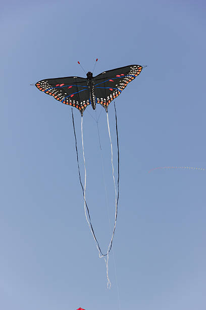 istock Kite festival 477088186