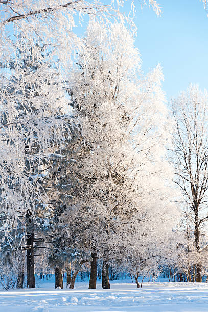 istock Winter in Moscow, Russia 477089669
