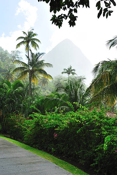 istock Piton At St. Lucia In Heavy Rain 477089813
