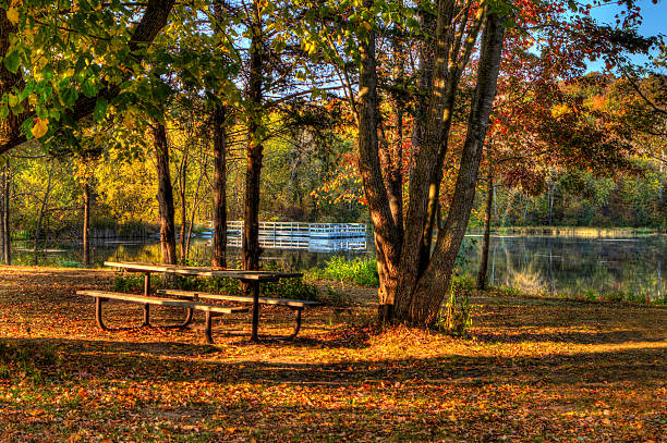 istock HDR landscape of a forest and pond. 477096399