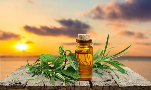 istock Oil, herbal, flower 477096552