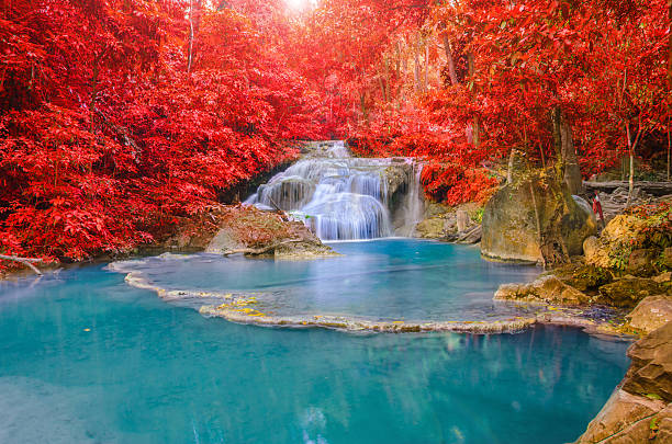 멋진 워터풀, rainbows in 심홍색 임산 national par - awe beauty in nature waterfall cool 뉴스 사진 이미지