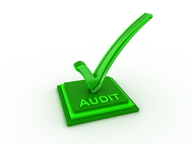 Check  mark icon on rectangles with AUDIT word stock photo
