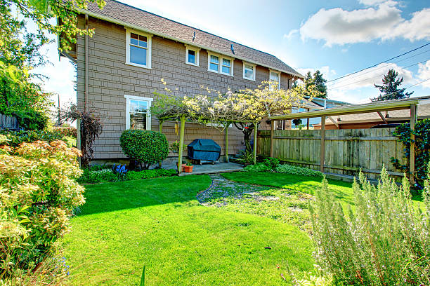 istock Backyard patio area with pergola and barbecue 477097663