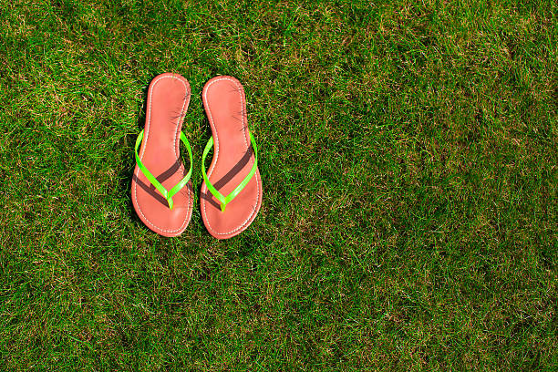 istock Closeup of bright flip flops on green grass 477097913