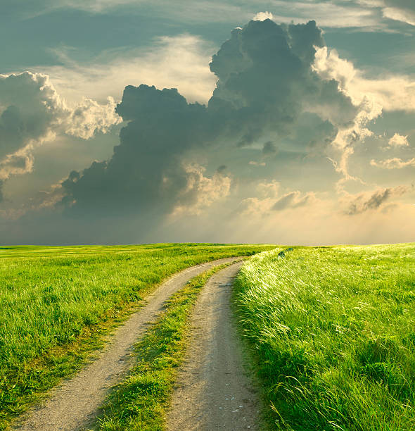 istock Summer landscape with green grass, road and clouds 477097993