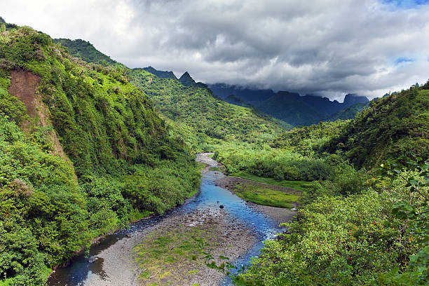 istock Tahiti.Tropical nature and mountain river 477100818