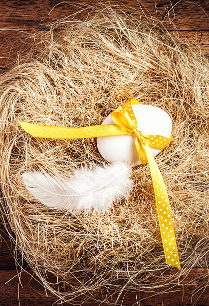 istock Easter nest with Egg, yellow ribbon and white feather 477103367