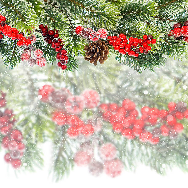 istock christmas tree branch with red berrries 477103435