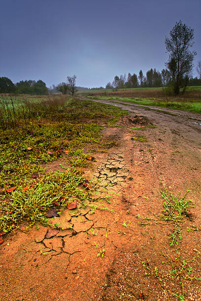 mud stock photo