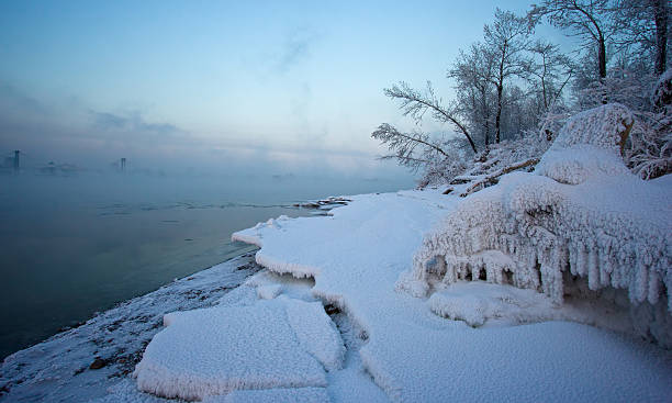Śnieg objęte Trawa i drzewa na brzegu rzeki – zdjęcie