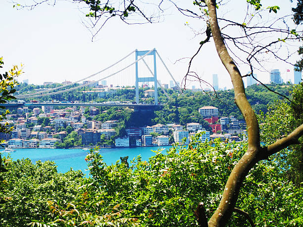 istock BRIDGE FSM ISTANBUL THROUGH VEGETATION 477109566