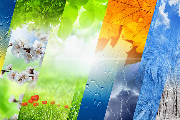 istock Four seasons of year 477110584