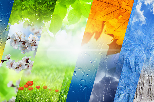 Beautiful nature background - four seasons of year collage, vibrant images of different time of year - winter, spring, summer, autumn