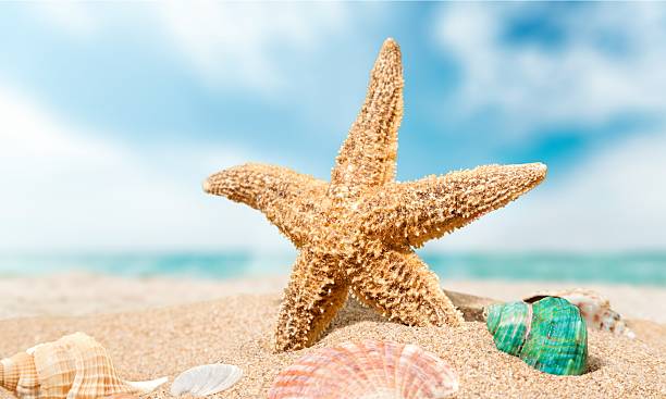 istock Travel, caribbean, beach 477111090