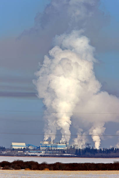 istock Power Lines and Pulp Mill Pollution 477119555