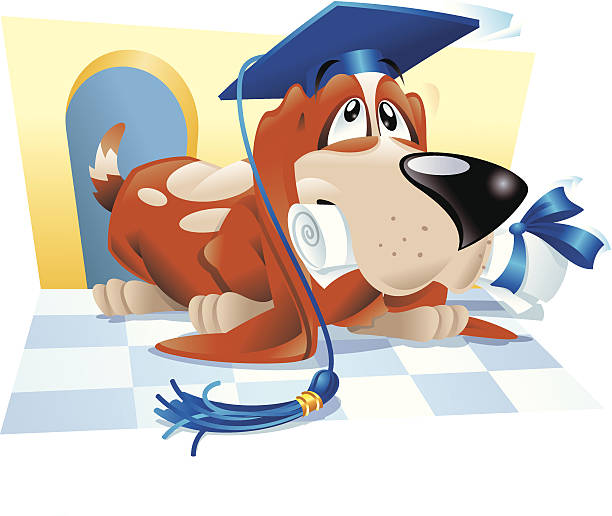 dog graduate c - dog graduation hat school stock illustrations