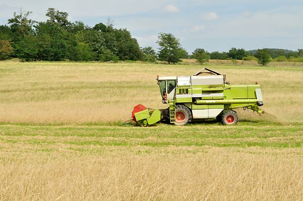 istock Modern combine harvester in the wheat field during harvesting 477122989