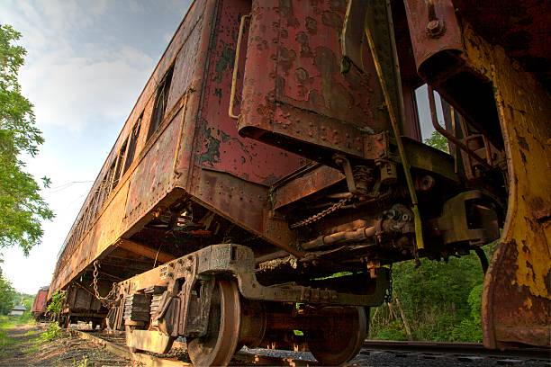 A batch of rusty train carriages abandoned in the forest