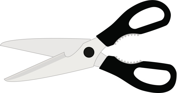 Classic pair of kitchen utility scissors. Stainless steel with black handles. Grayscale.