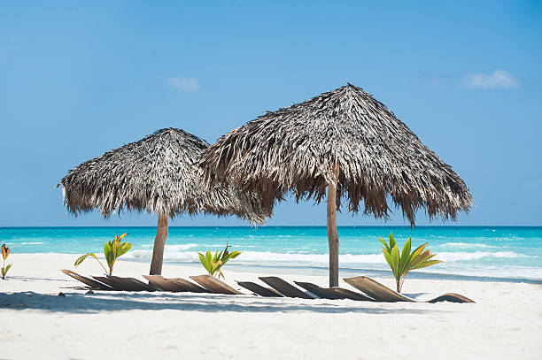 istock Two sunshades on Saona island 477132116