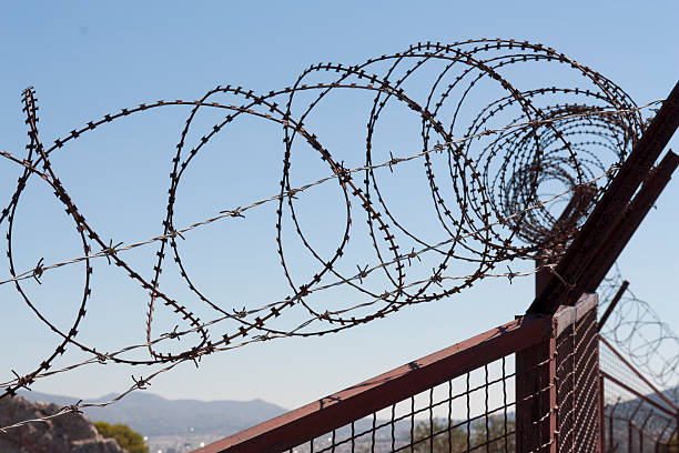 istock Security with a barbed wire fence. Protection concept design. 477134348