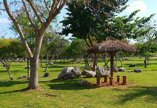 istock picnic in the park nature panorama lake 477140027