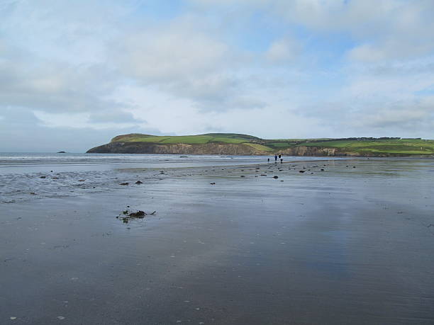 istock Wet beach great sky, Pembroke, Wales 477141330