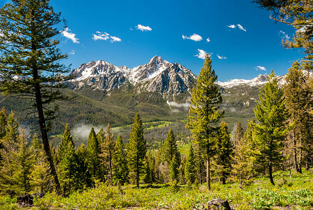 istock Idaho mountains forest and blue sky 477143691