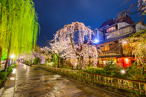 Kyoto, Japan at the historic Gion District during the spring season.