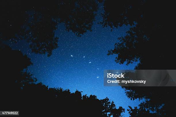 Big Dipper Constellation Stockfoto und mehr Bilder von Großer Wagen - Großer Wagen, Sternbild, Baum