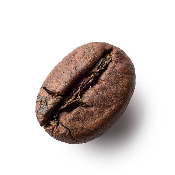 istock Singular coffee beans isolated on white in macro 477150690