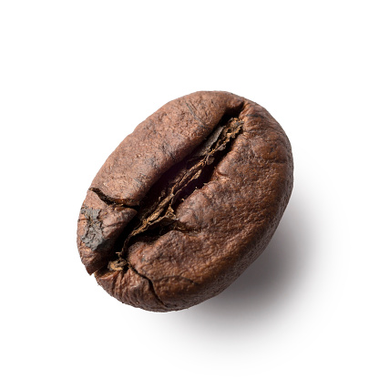 Simple coffee bean isolated on a white background, with a nice natural shadow. The file can be used as a design element.