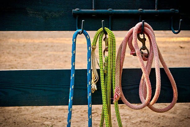 istock Colorful Horse Leads 477154313