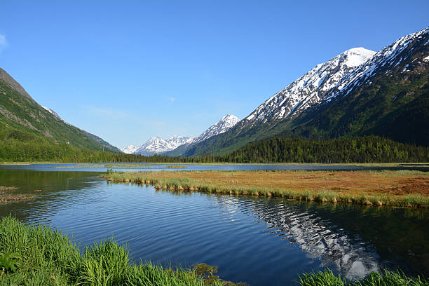 Alaskan Landscape stock photo