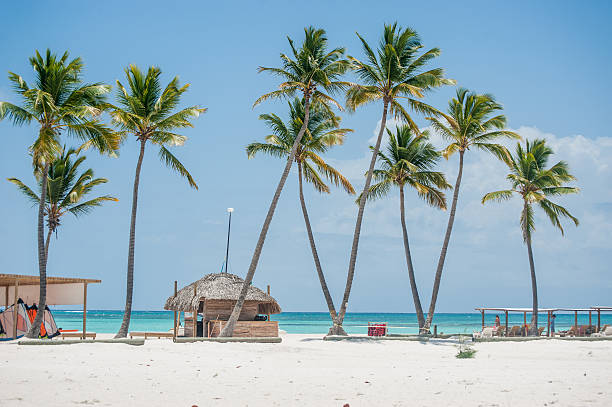 Palms at Juanillo beach stock photo