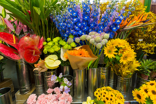 Lush selection of brightly coloured flowers in a florists shop in Harajuku, Tokyo, Japan