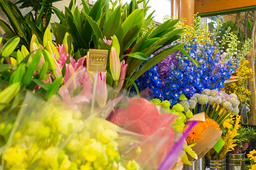 Lush selection of brightly coloured flowers in a florists shop in Harajuku, Tokyo, Japan