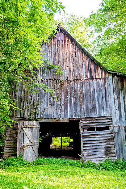 istock Barn in the back woods of Alabama 477162476