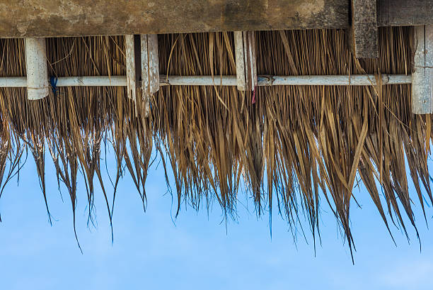 istock thatched roof with blue sky 477163060