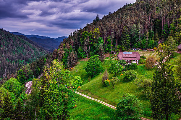 frühling des black forest - black forest fotos stock-fotos und bilder