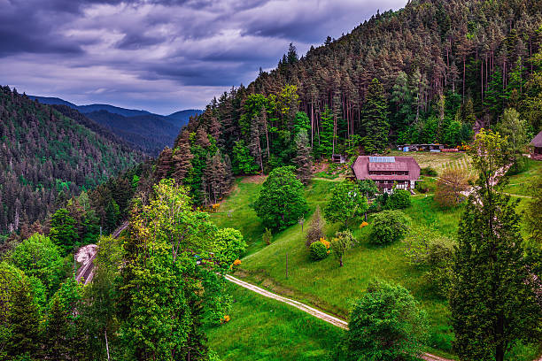 Spring in the Black Forest Spring in the Black Forest. Dark Clouds in the Sky. Lovely Landscape with fresh green colors. Hills and Mountains black forest photos stock pictures, royalty-free photos & images
