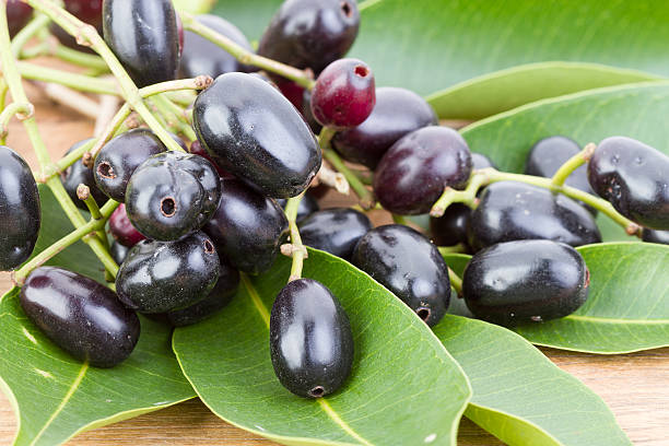 istock Jambolan plum or Java plum 'Syzygium cumini (L) Skeels.' 477168948