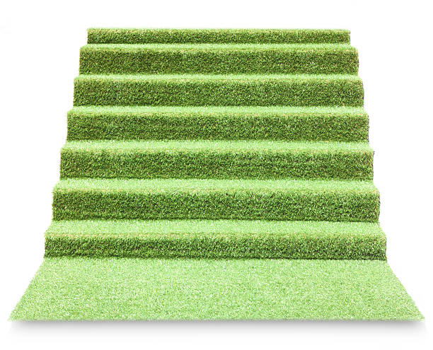人工芝ラダー - rug carpet isolated floor ストックフォトと画像