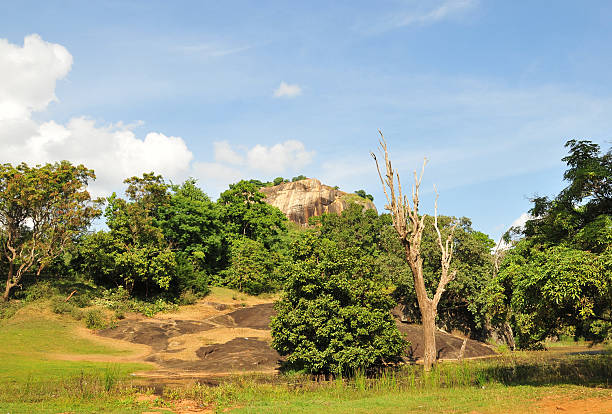 sigiriya rock fortaleza no sri lanka - north central sri lanka - fotografias e filmes do acervo