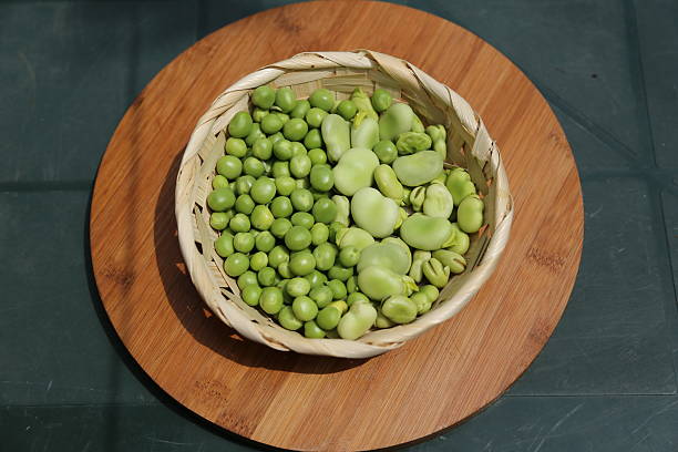 Beans and peas in the basket stock photo