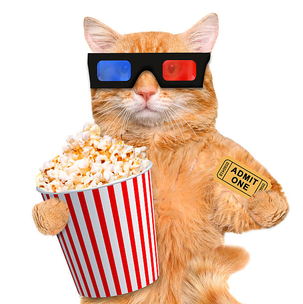 istock Cat watching a movie 477177832