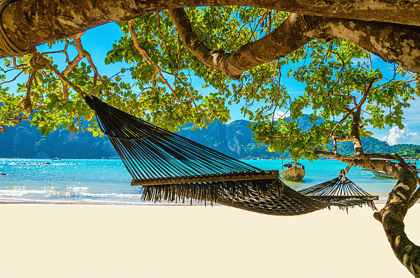istock Swing hang from coconut tree over beach, Thailand 477181070